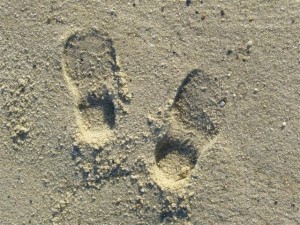 Josie's foot prints in the sand
