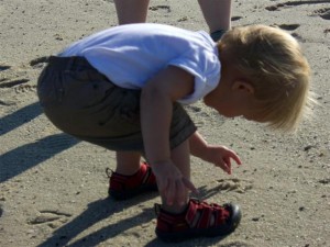 Josie exploring a crab on the beach