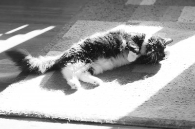 Mio in the sun