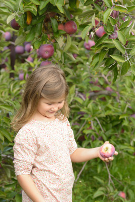 Josie picking an apple