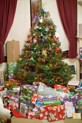 The tree Christmas 2014